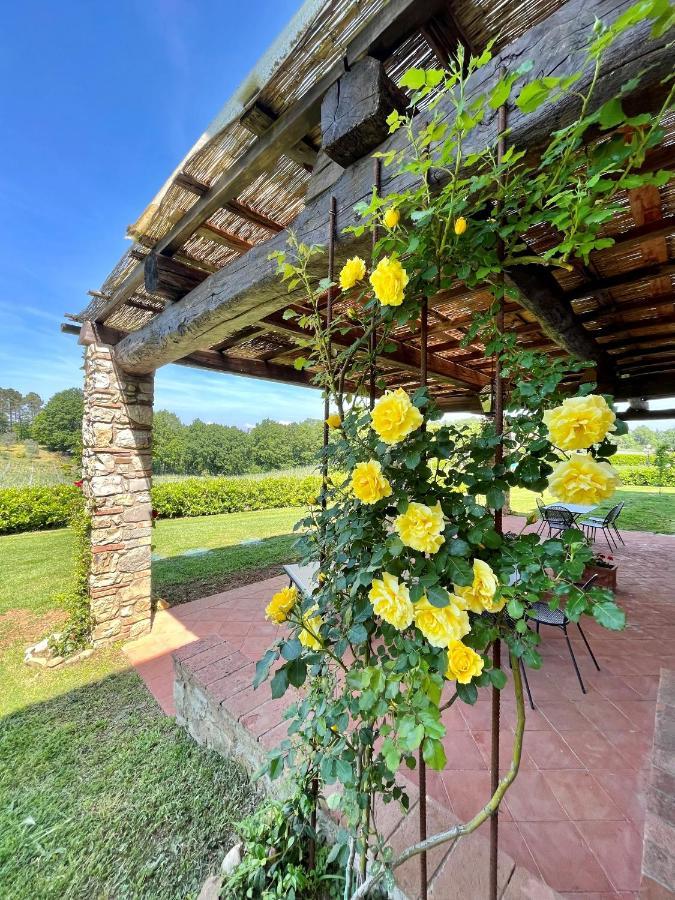 Fattoria Montignana Konuk evi San Casciano in Val di Pesa Dış mekan fotoğraf